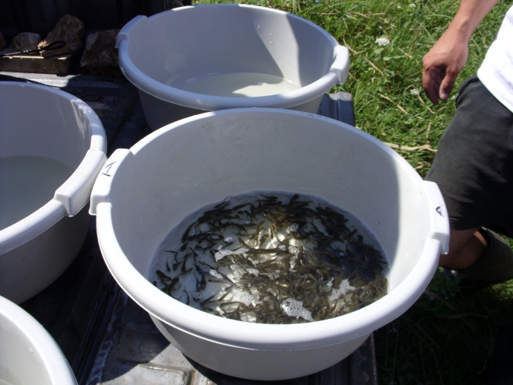 &Delta;&epsilon;&lambda;&tau;ί&omicron; &Tau;ύ&pi;&omicron;&upsilon; &gamma;&iota;&alpha; &tau;&omicron;&nu; &epsilon;&mu;&pi;&lambda;&omicron;&upsilon;&tau;&iota;&sigma;&mu;ό &tau;&eta;&sigmaf; &lambda;ί&mu;&nu;&eta;&sigmaf; &mu;&alpha;&sigmaf; &mu;&epsilon; &phi;&upsilon;&tau;&omicron;&phi;ά&gamma;&omicron;&upsilon;&sigmaf; &kappa;&upsilon;&pi;&rho;ί&nu;&omicron;&upsilon;&sigmaf;