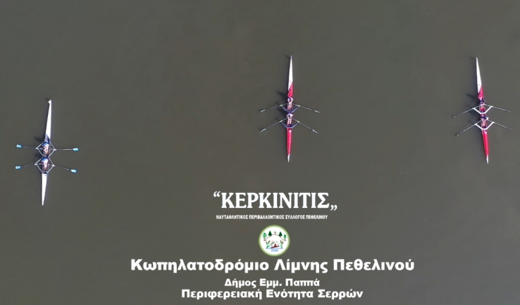 &Epsilon;&nu;&tau;&upsilon;&pi;&omega;&sigma;&iota;&alpha;&kappa;ό &Beta;ί&nu;&tau;&epsilon;&omicron; &alpha;&pi;ό &tau;&omicron;&upsilon;&sigmaf; &Alpha;&gamma;ώ&nu;&epsilon;&sigmaf; &kappa;&omega;&pi;&eta;&lambda;&alpha;&sigma;ί&alpha;&sigmaf; &sigma;&tau;&omicron;&nu; &Pi;&epsilon;&theta;&epsilon;&lambda;&iota;&nu;ό &Sigma;&epsilon;&rho;&rho;ώ&nu;