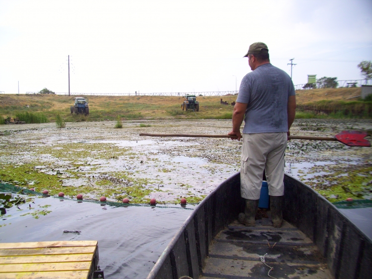 &Kappa;&Alpha;&Theta;&Alpha;&Rho;&Iota;&Sigma;&Mu;&Omicron;&Sigma; &Chi;&Omicron;&Rho;&Tau;&Omega;&Nu; 28 &Epsilon;&Omega;&Sigma; 31- 8-2013